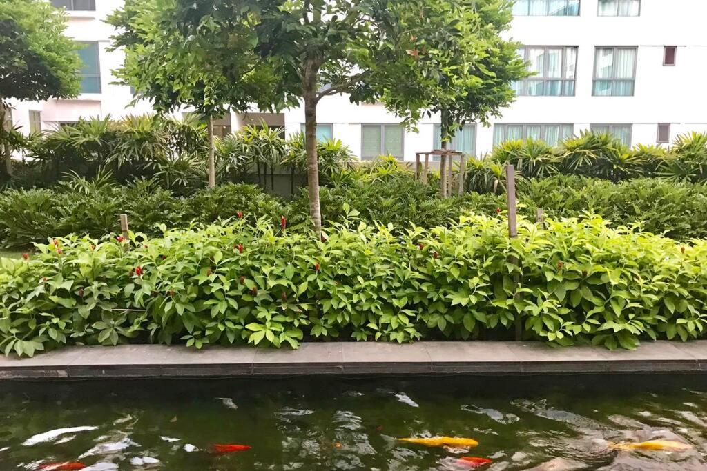 Condo In Imago Mall 亚庇最大商场imago楼里公寓 코타키나발루에서가장큰쇼핑센터아파트 Exteriér fotografie